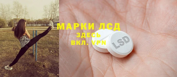 индика Покачи