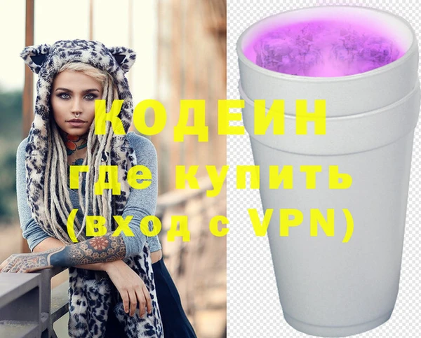 индика Покачи