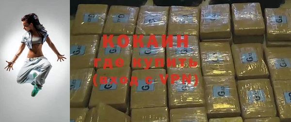 индика Покачи