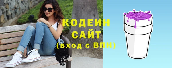 индика Покачи