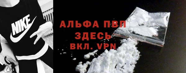 индика Покачи