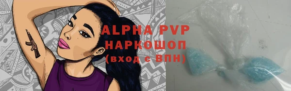 индика Покачи