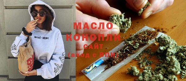 индика Покачи