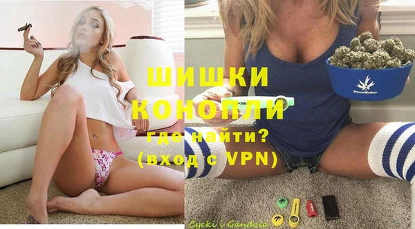 индика Покачи