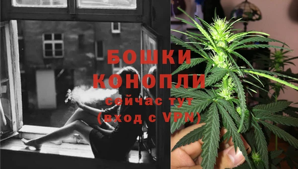 индика Покачи