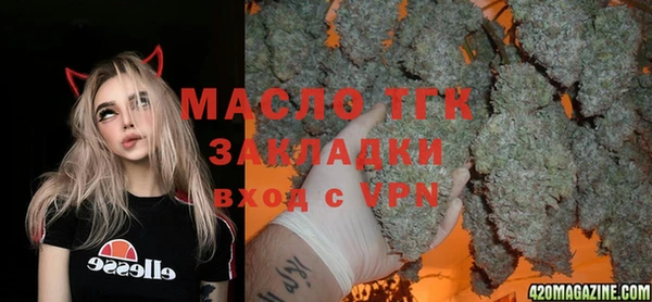 индика Покачи