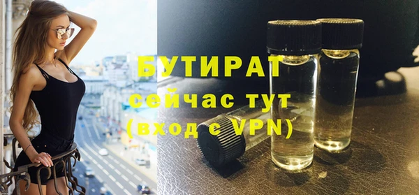 индика Покачи