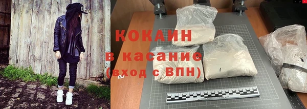индика Покачи
