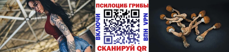 цены   Карпинск  Псилоцибиновые грибы ЛСД 