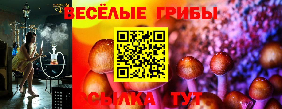 Галлюциногенные грибы ЛСД  Галлюциногенные грибы Cubensis  Вход с VPN  Карпинск 