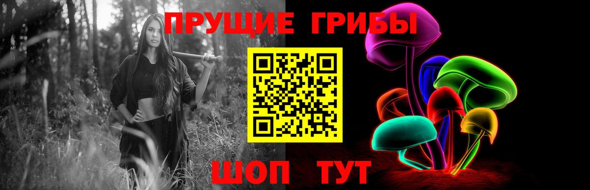Галлюциногенные грибы прущие грибы Карпинск